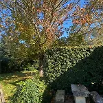 Ile D Oleron Vertbois, Bois Piscine Et Holiday home