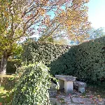 Ile D Oleron Vertbois, Bois Piscine Et Holiday home Dolus-d'Oleron