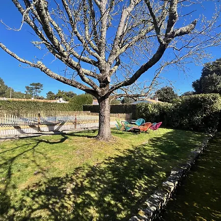 Ile D Oleron Vertbois, Bois Piscine Et * 道拉斯奥莱龙