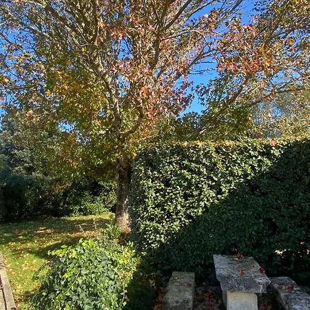 Ile D Oleron Vertbois, Bois Piscine Et 度假居