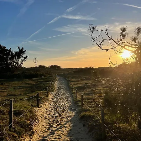 Ile D Oleron Vertbois, Bois Piscine Et 度假居 道拉斯奥莱龙