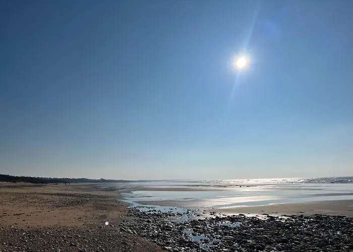 Ile D Oléron Vertbois, Bois Piscine Et Сasa de vacaciones *
