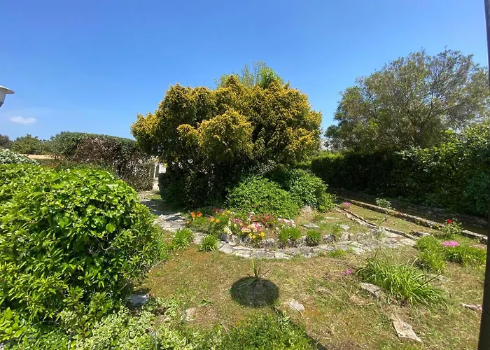 Ile D Oléron Vertbois, Bois Piscine Et *