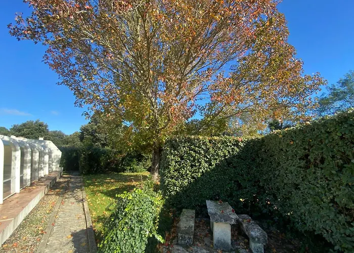 Ile D Oléron Vertbois, Bois Piscine Et Dolus d'Oléron