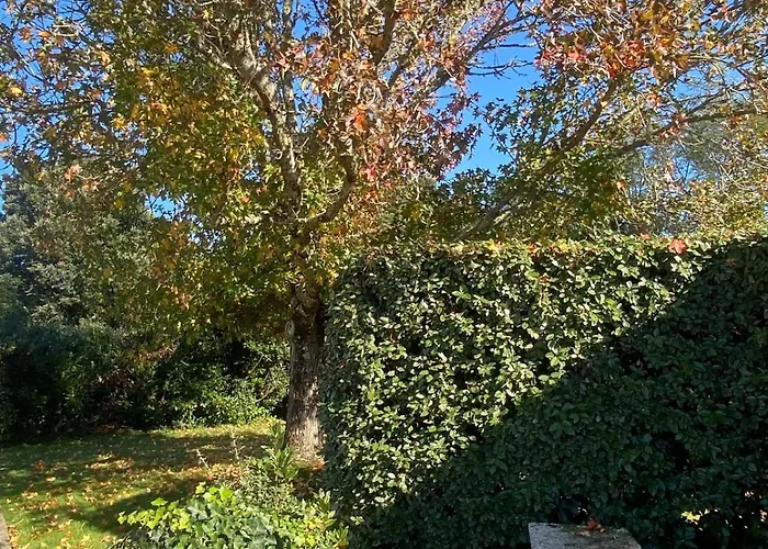 Ile D Oléron Vertbois, Bois Piscine Et Сasa de vacaciones