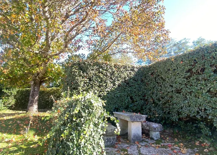 Ile D Oléron Vertbois, Bois Piscine Et Сasa de vacaciones Dolus d'Oléron
